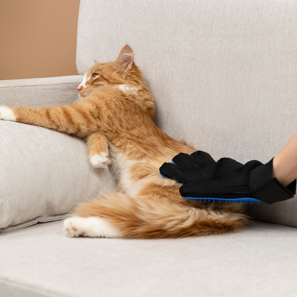 VETTA Перчатка-щетка для домашних животных, нейлон, ТПР, 23х16,5 см, арт.№ 273-147