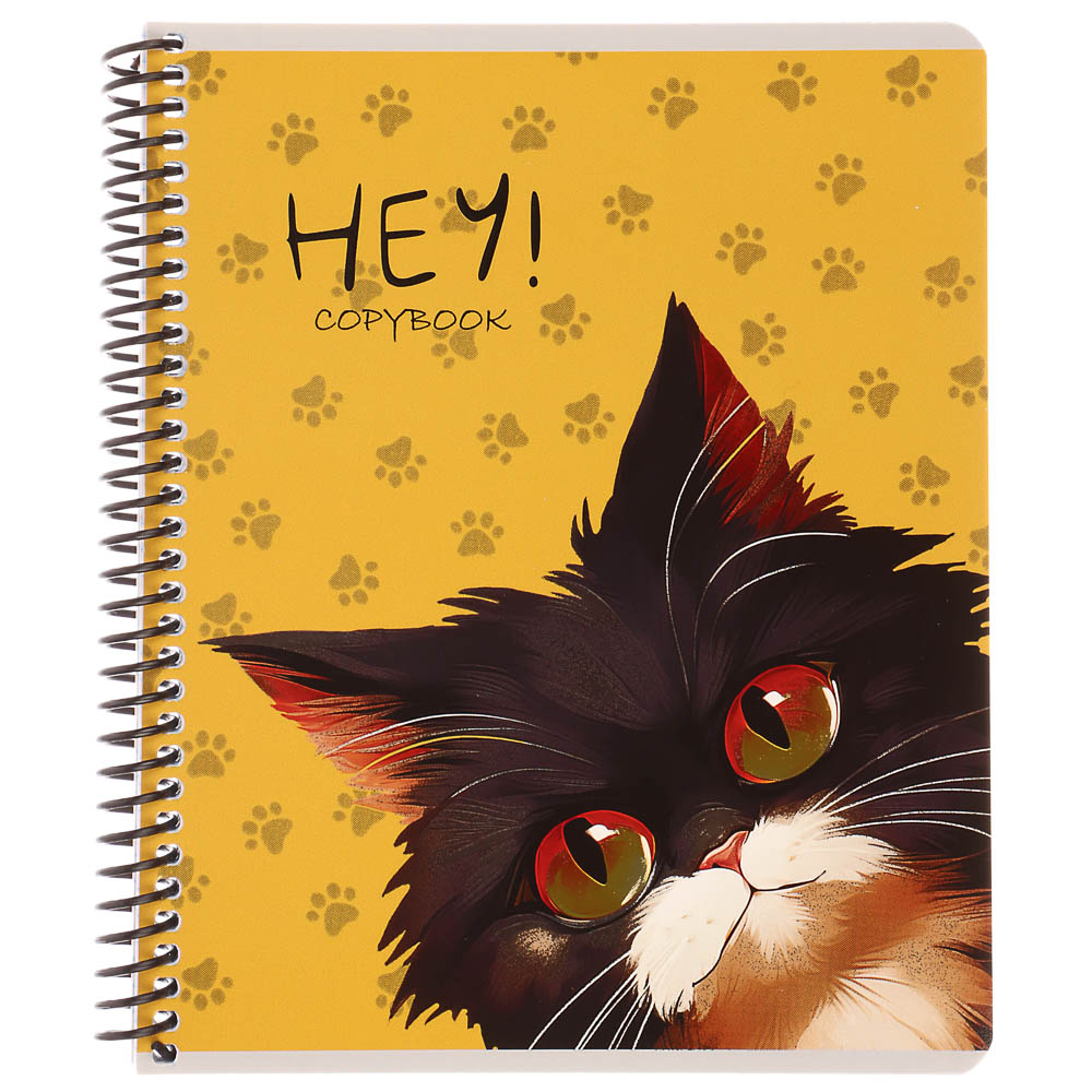 Тетрадь 96 л., А5, в клетку, БЕЛЫЕ ЛИСТЫ, обл.мел. картон, спираль, микс, арт.№ 578-180