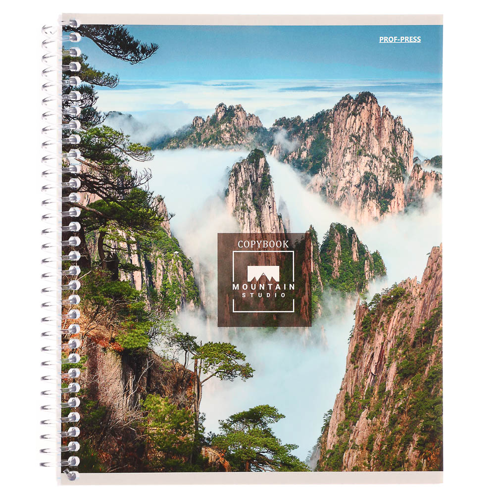 Тетрадь 96 л., А5, в клетку, БЕЛЫЕ ЛИСТЫ, обл.мел. картон, спираль, микс, арт.№ 578-180