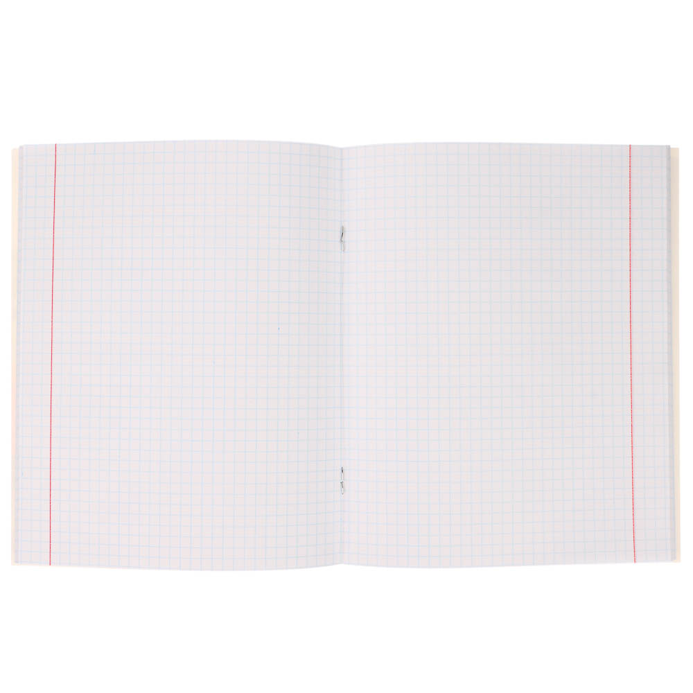 Тетрадь 48л., А5, в клетку, офсет, обл. мел.картон, скрепка, твин лак, микс, арт.№ 578-181