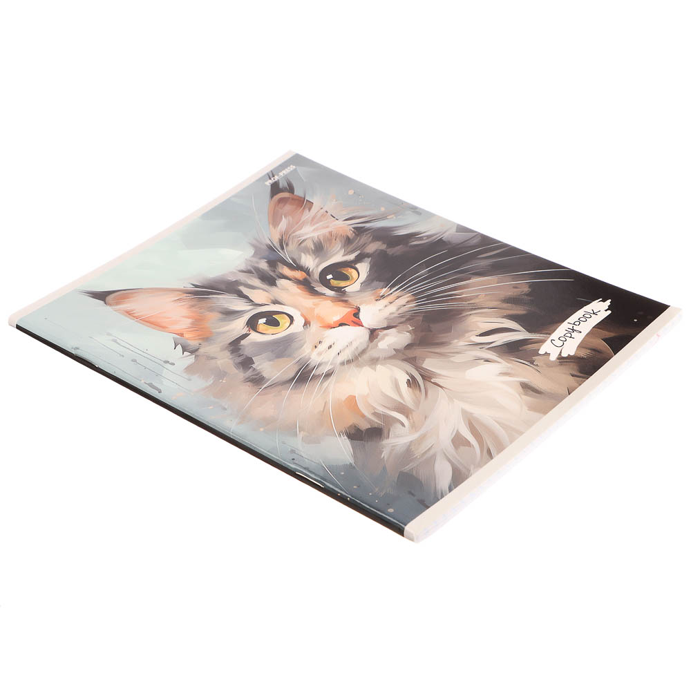 Тетрадь 48л., А5, в клетку, офсет, обл. мел.картон, скрепка, твин лак, микс, арт.№ 578-181