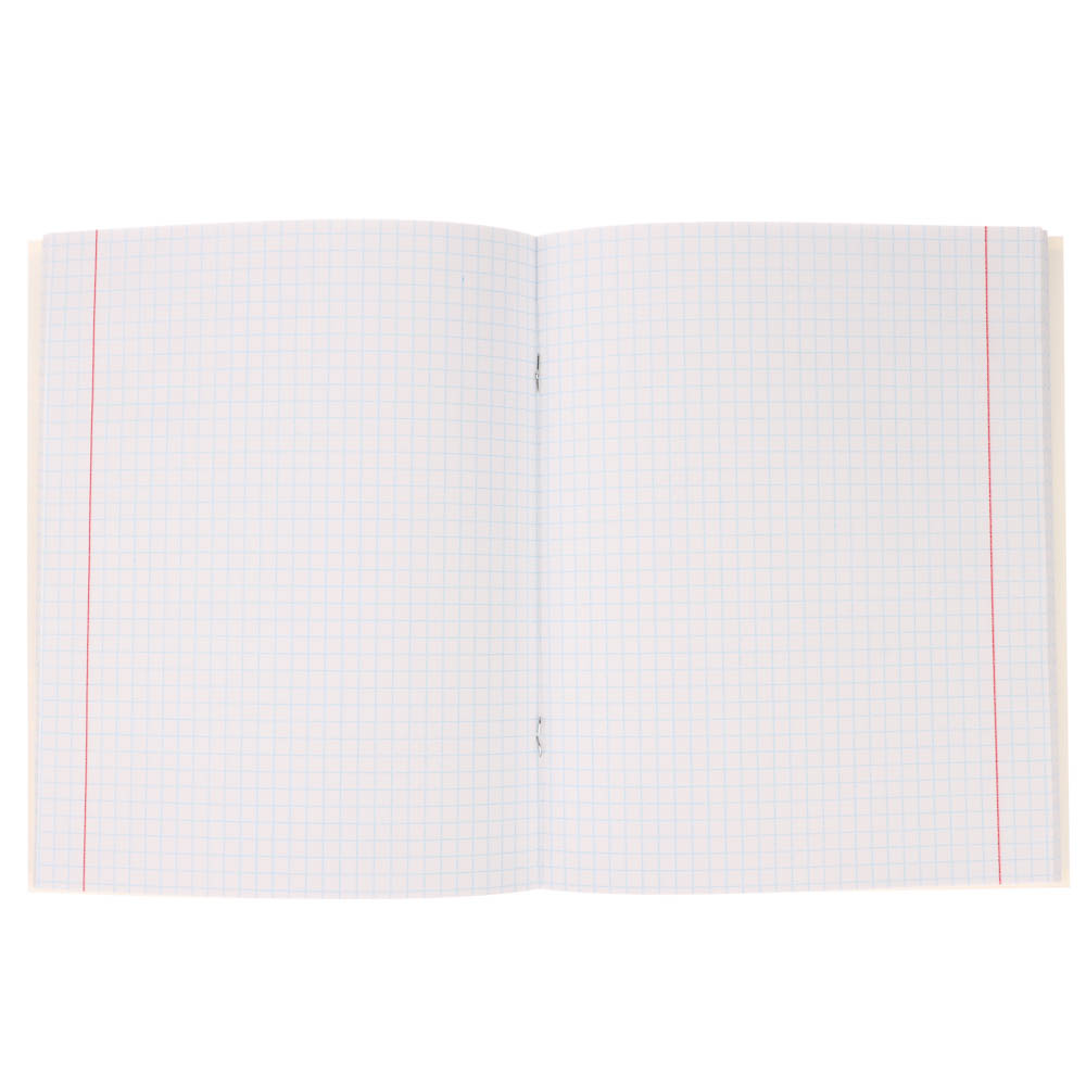 Тетрадь 48л., А5, в клетку, офсет, обл. мел.картон, скрепка, твин лак, микс, арт.№ 578-181