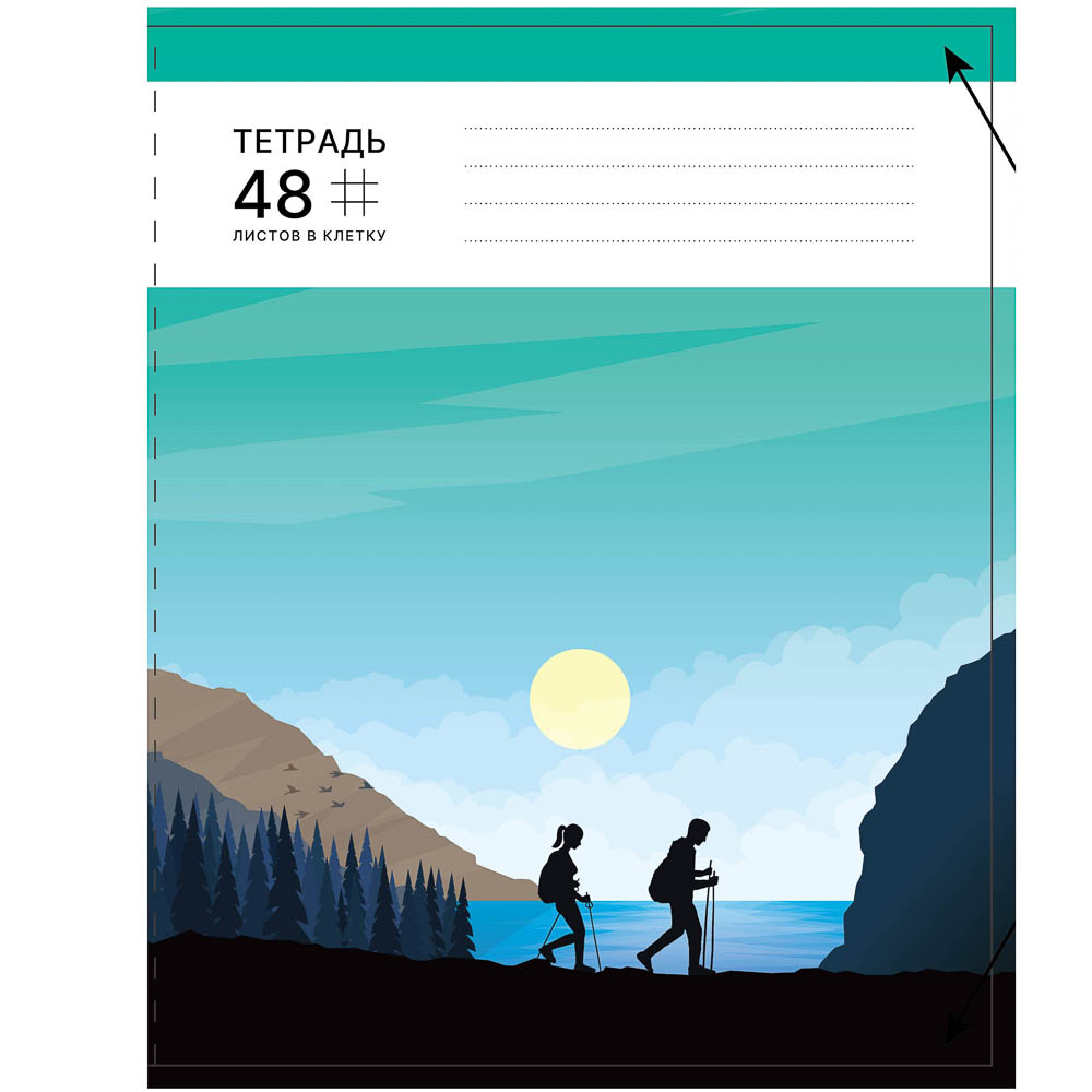 Тетрадь общая 48 листов в клетку ClipStudio, БЕЛЫЕ ЛИСТЫ, обложка картон 190 гр/м2, скрепка, 5 дизайнов, арт.№ 578-173