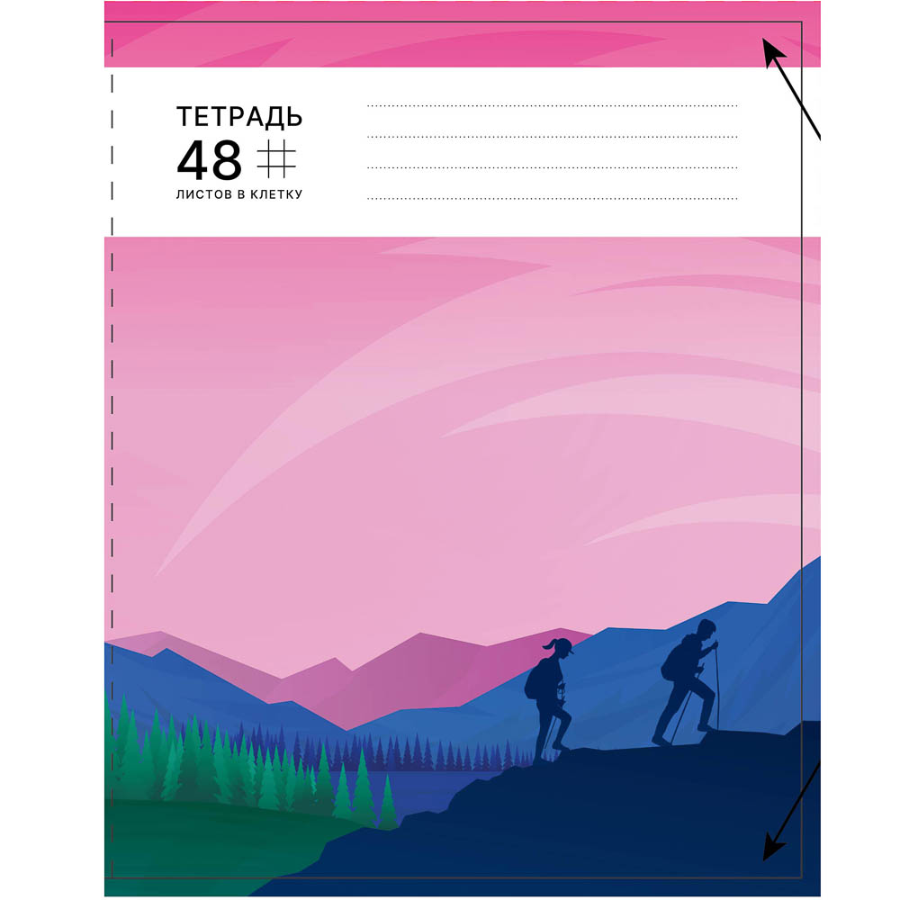 Тетрадь общая 48 листов в клетку ClipStudio, БЕЛЫЕ ЛИСТЫ, обложка картон 190 гр/м2, скрепка, 5 дизайнов, арт.№ 578-173