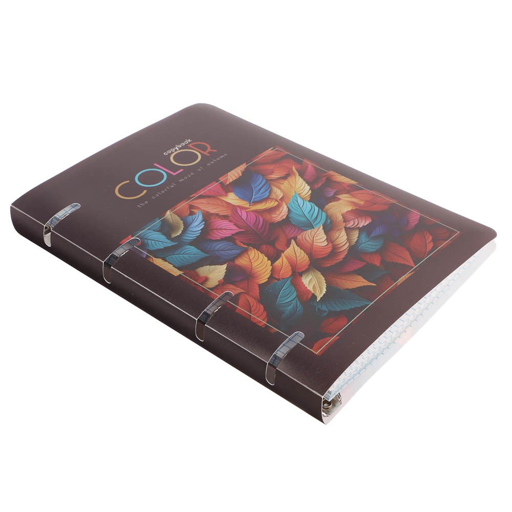 Тетрадь на кольцах А5, 80 л., клетка, обложка пластик, белый блок, микс, арт.№ 578-182