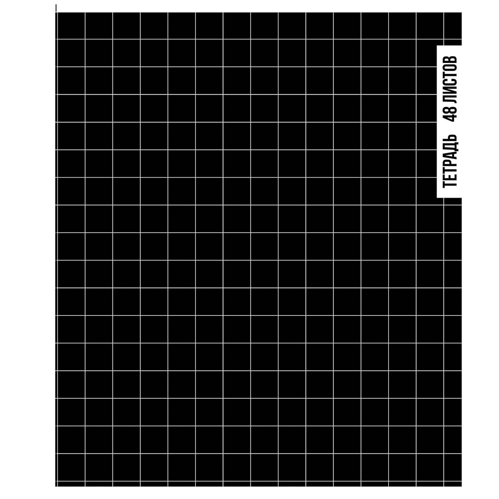 Тетрадь общая 48л. в клетку, БЕЛЫЕ ЛИСТЫ, обложка картон, скрепка, УФ лак, "Ничего лишнего" 4 диз, арт.№ 524-348