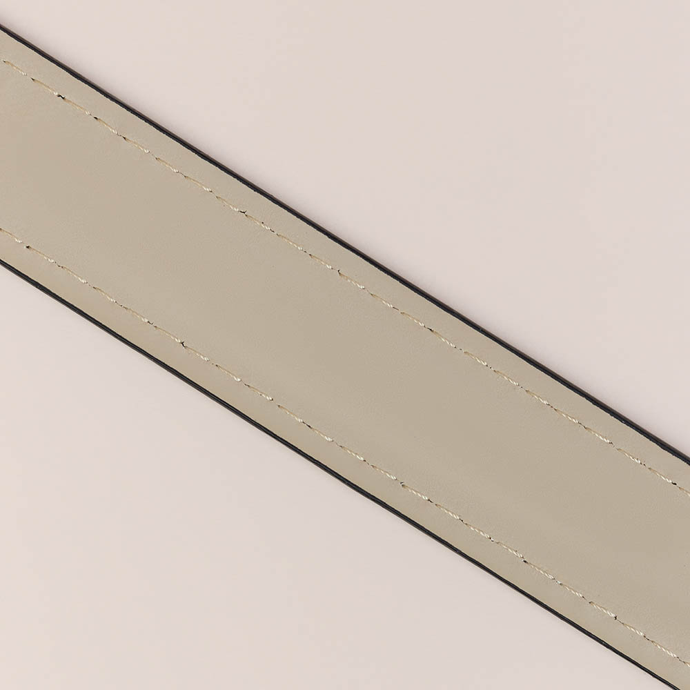 VETTA Ошейник для домашних животных, искусственная кожа, 2,5х50 см, обхват 35,5-45,5 см, арт.№ 273-352