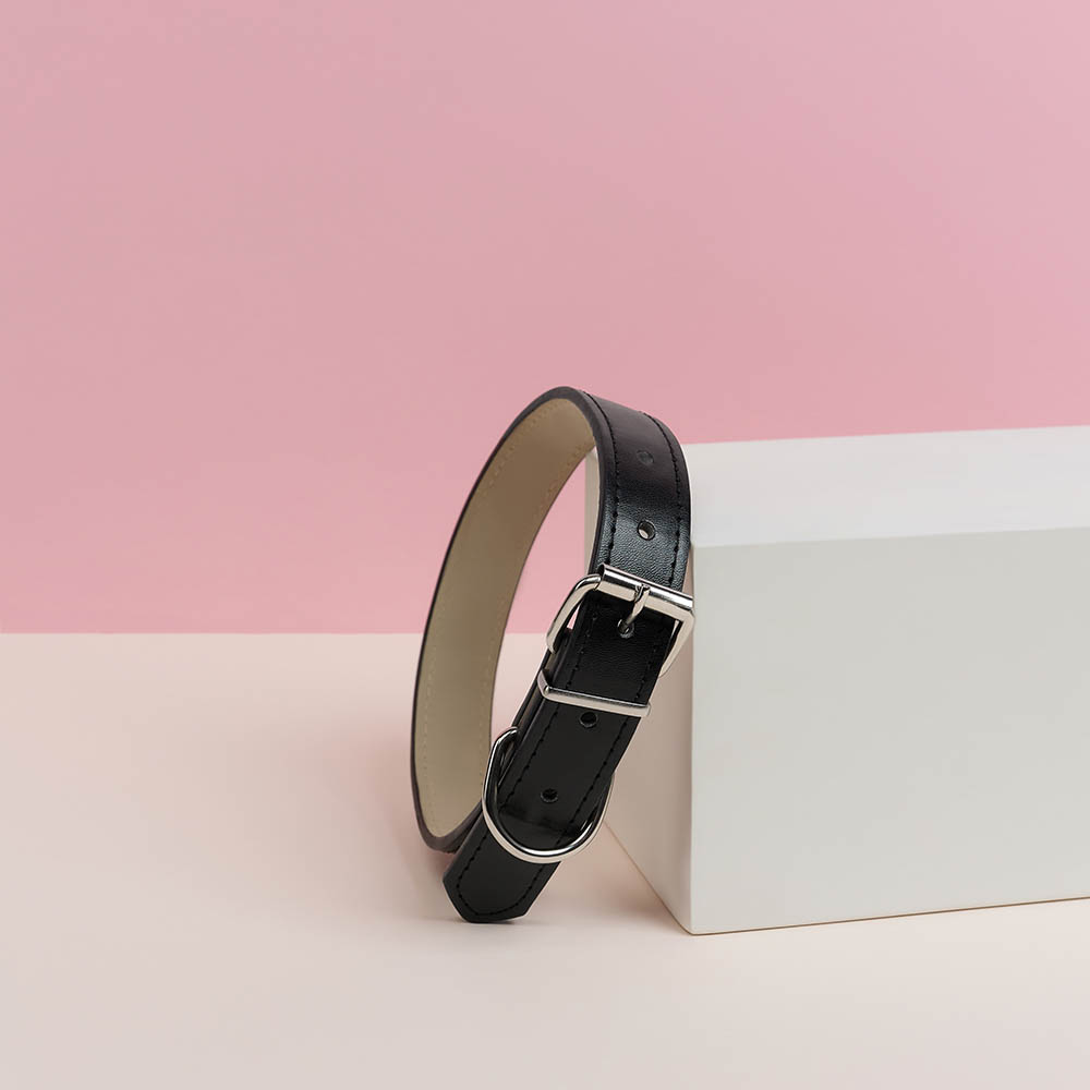 VETTA Ошейник для домашних животных, искусственная кожа, 2,5х50 см, обхват 35,5-45,5 см, арт.№ 273-352