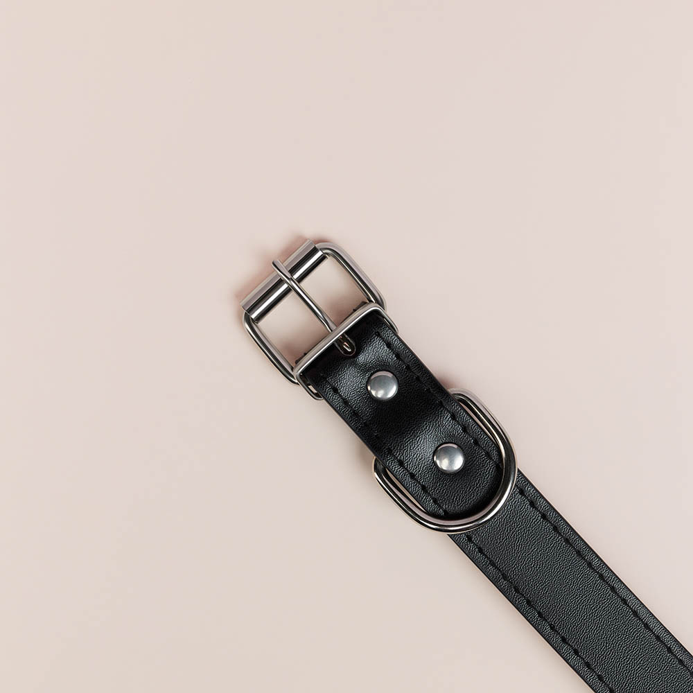 VETTA Ошейник для домашних животных, искусственная кожа, 2,5х50 см, обхват 35,5-45,5 см, арт.№ 273-352