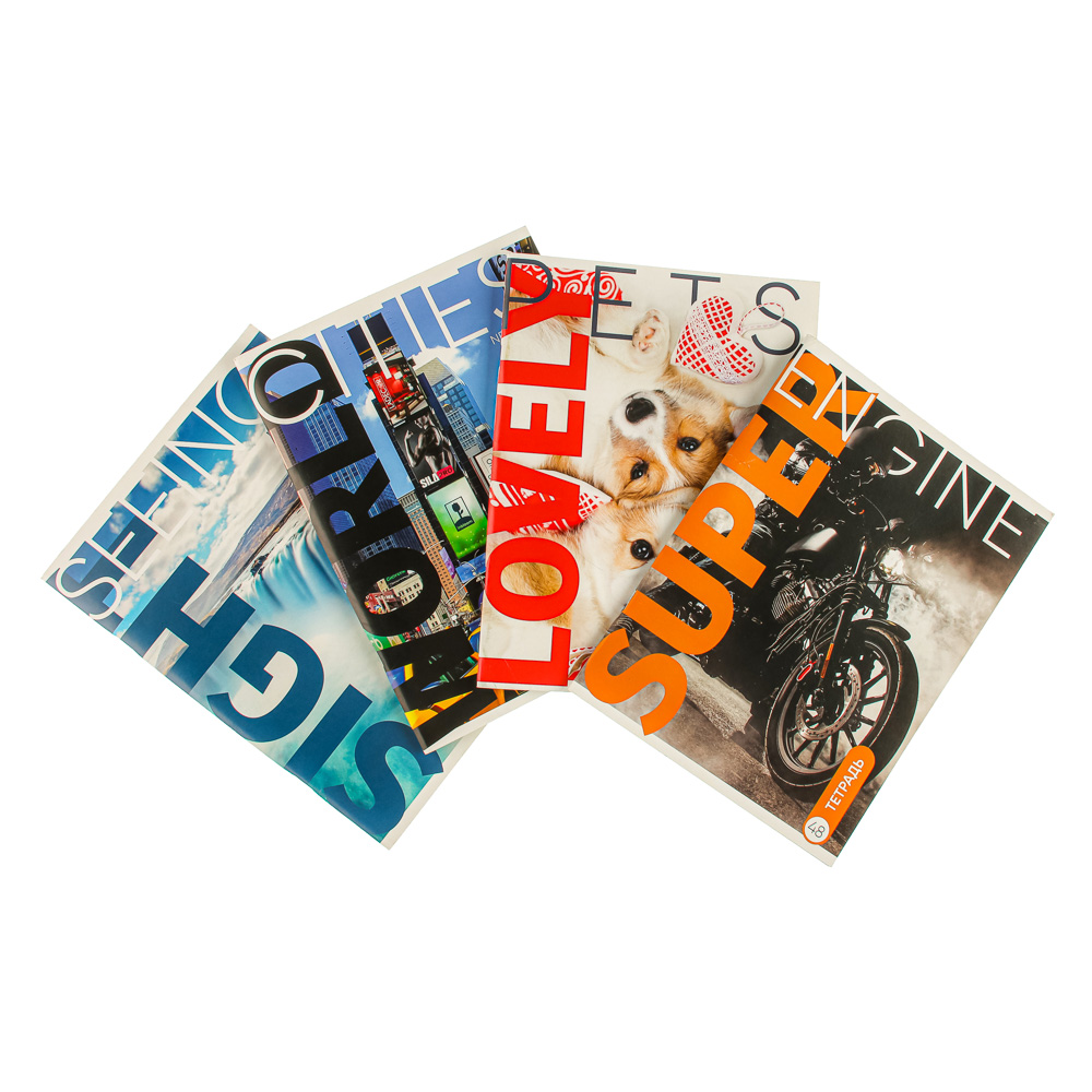 ClipStudio Тетрадь А4 48л. в клетку, блок №2, обложка картон 240г/м2, скрепка, 4 дизайна, арт.№ 524-195