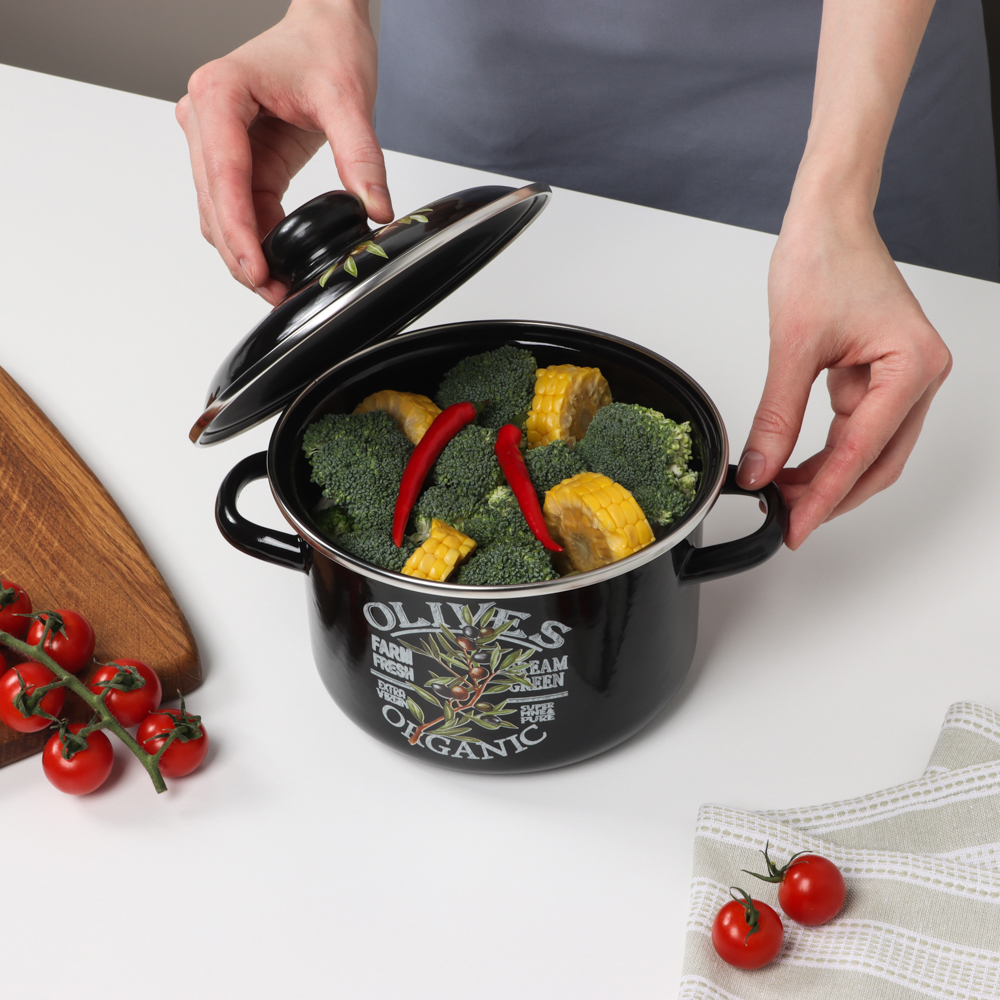 Ветка оливы Кастрюля эмалированная 2л, арт.№ 894-546