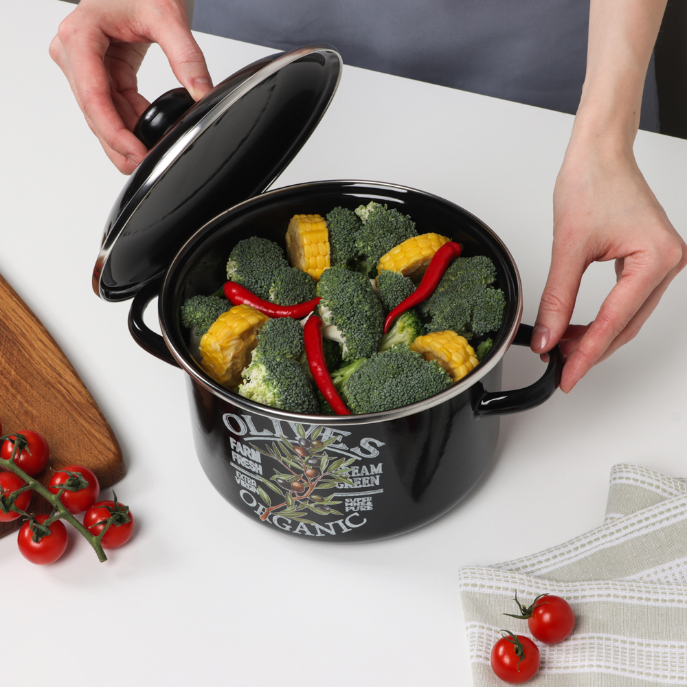 Ветка оливы Кастрюля эмалированная 3л, арт.№ 894-547