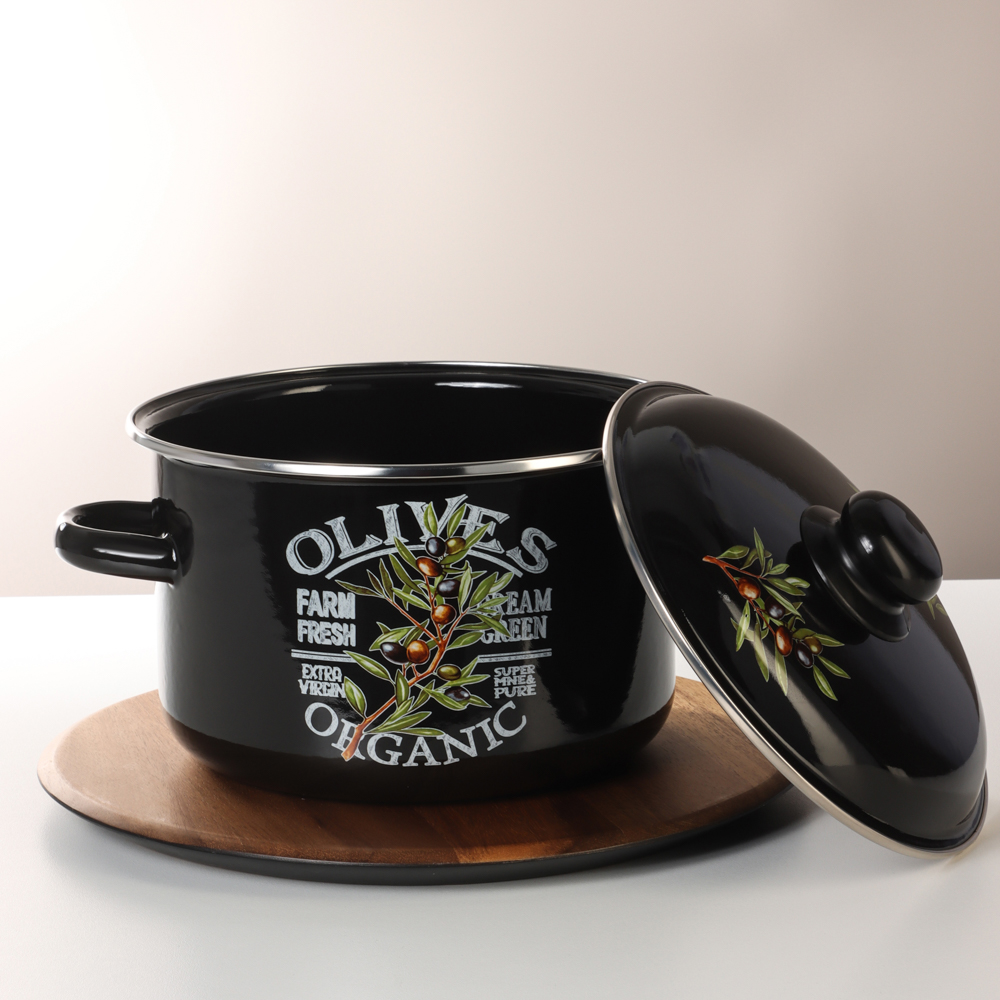 Ветка оливы Кастрюля эмалированная 4л, арт.№ 894-548