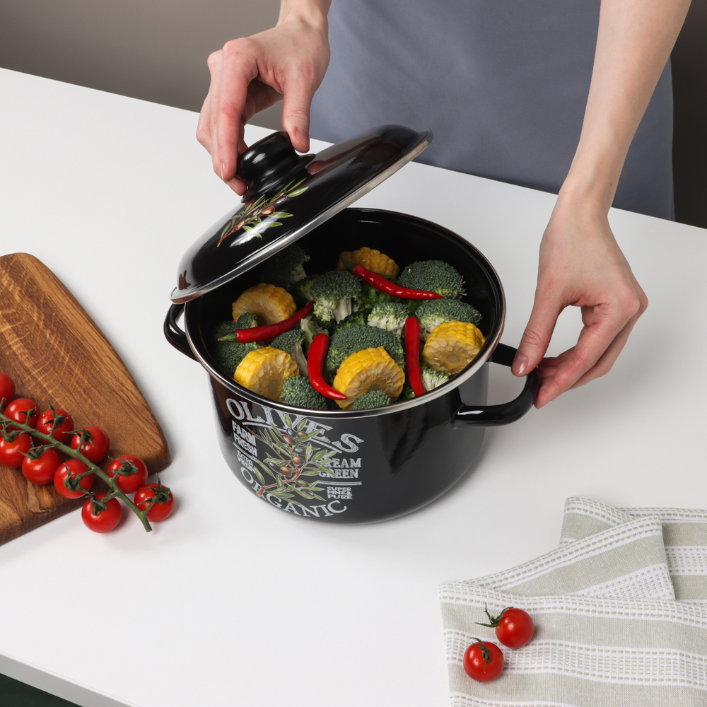 Ветка оливы Кастрюля эмалированная 4л, арт.№ 894-548