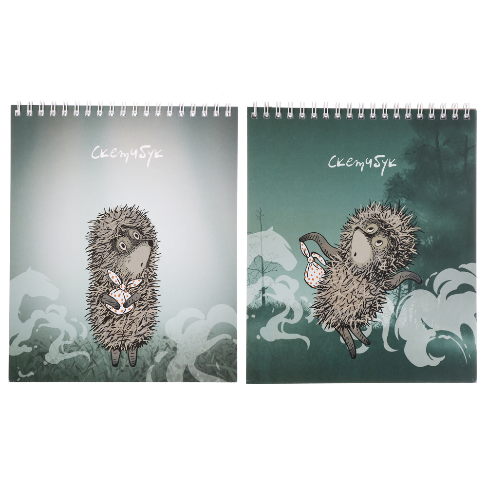 Ежик в Тумане Блокнот для зарисовок (скетчбук) 16,4х19,5см, 30л, спираль, твердая подложка, 2 диз., арт.№ 805-042