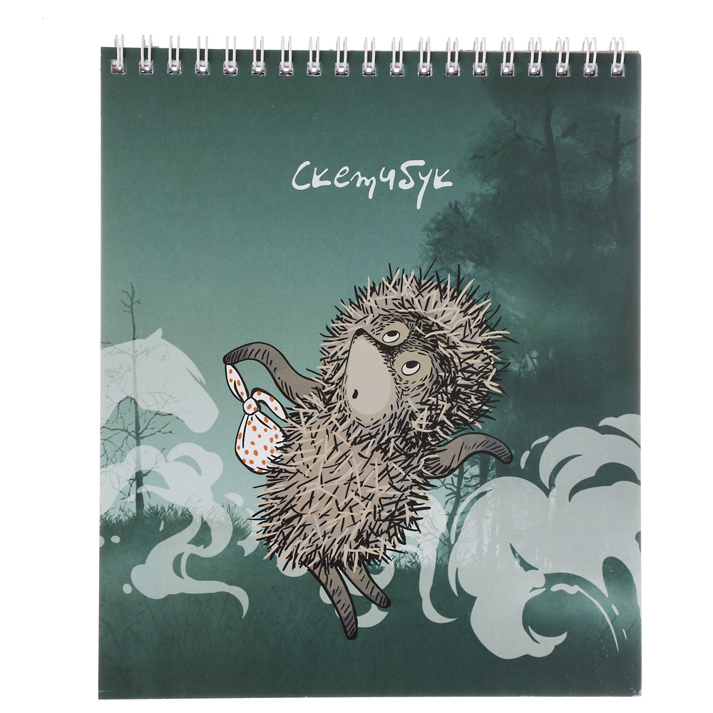 Ежик в Тумане Блокнот для зарисовок (скетчбук) 16,4х19,5см, 30л, спираль, твердая подложка, 2 диз., арт.№ 805-042