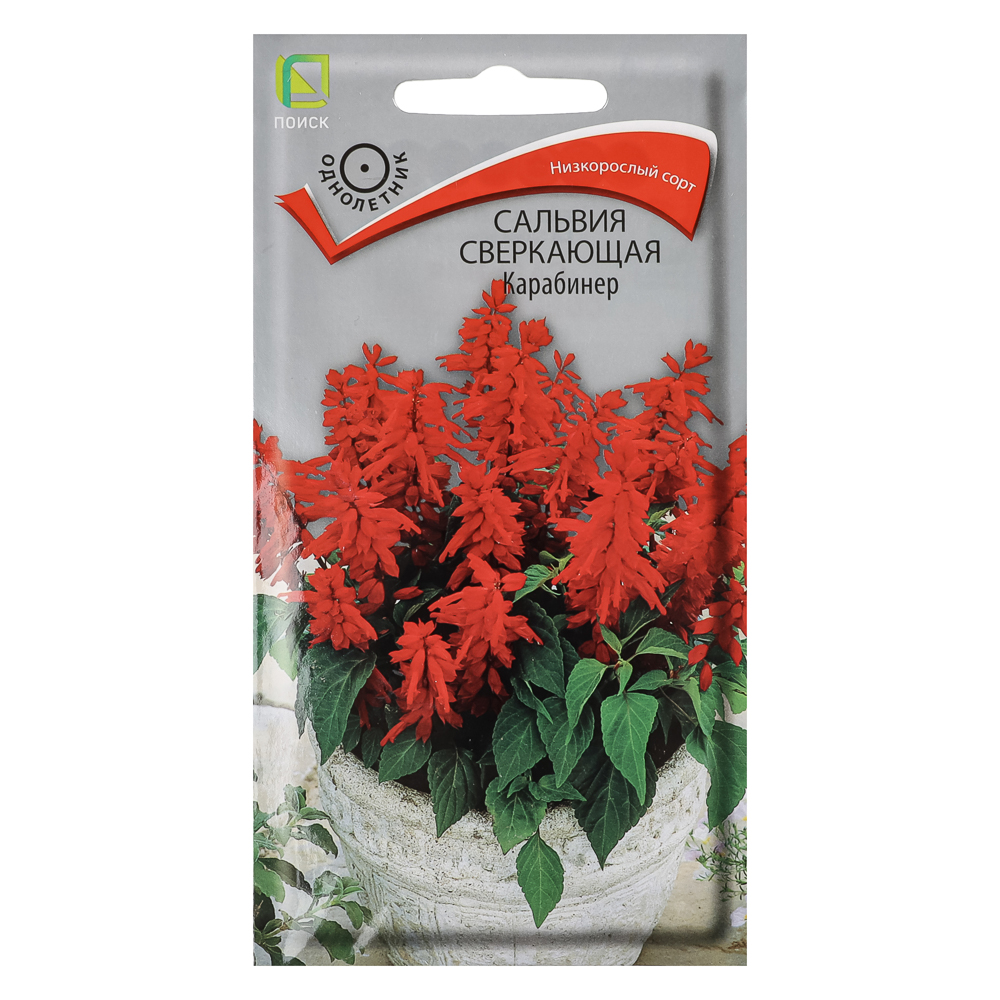 Сальвия сверкающая Карабинер 0,1гр, арт.№ 179-713