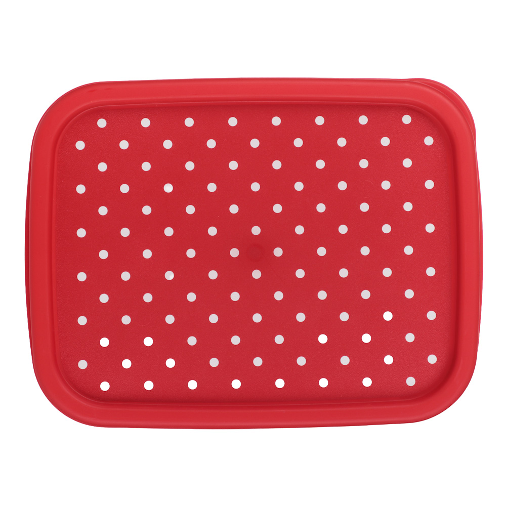 Пасха Контейнер для продуктов прямоугольный 0,85л, пластик, 2 дизайна, арт.№ 861-556