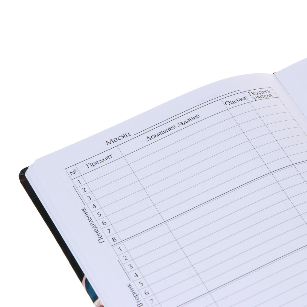 Дневник школьный 48 листов формат А5+ "Рыбки", 20,8х16,5 см, твердая обложка искусственная кожа, с цветной печатью, закладка, арт.№ 564-041