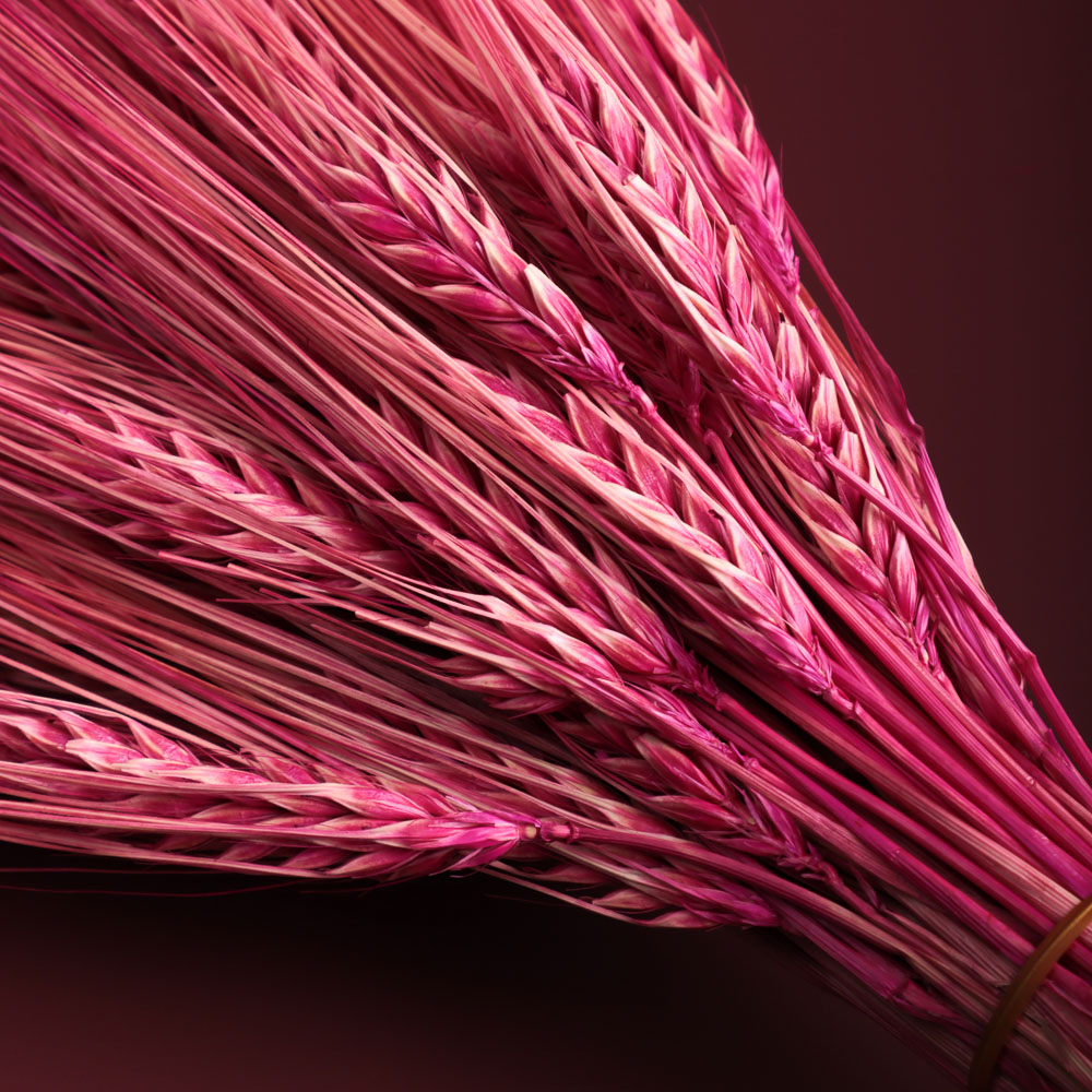 Сухоцветы Ячмень, Могара, тм Колхоз Луч, 70г, в ассортименте, арт.№ 426-010