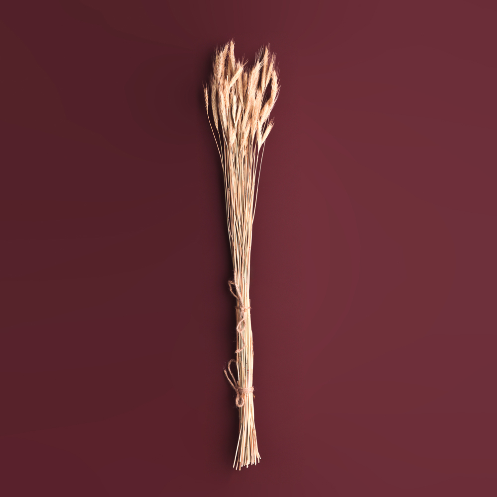 Сухоцветы Ячмень, Могара, тм Колхоз Луч, 70г, в ассортименте, арт.№ 426-010