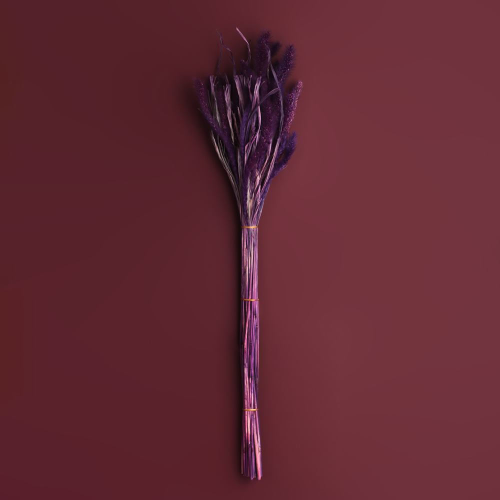 Сухоцветы Ячмень, Могара, тм Колхоз Луч, 70г, в ассортименте, арт.№ 426-010