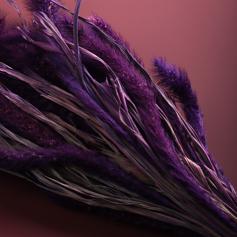 Сухоцветы Ячмень, Могара, тм Колхоз Луч, 70г, в ассортименте, арт.№ 426-010