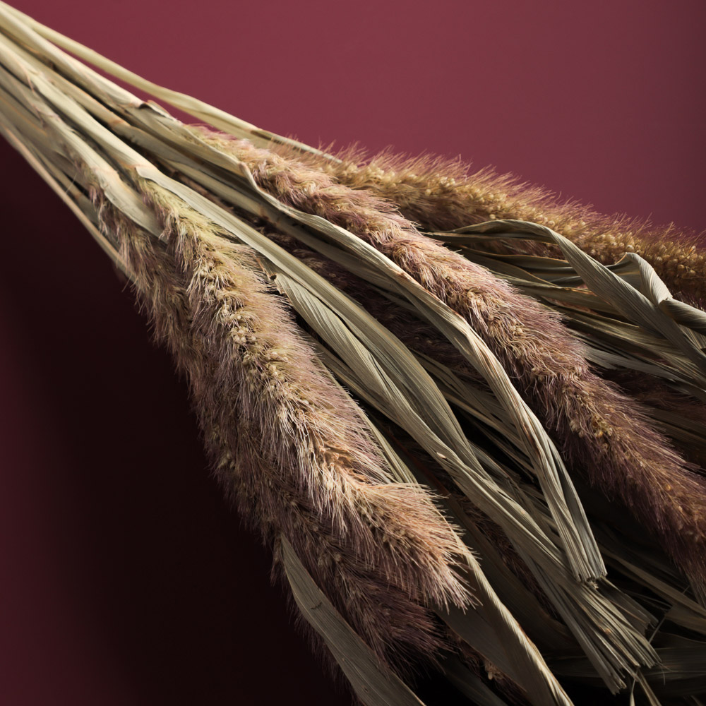 Сухоцветы Ячмень, Могара, тм Колхоз Луч, 70г, в ассортименте, арт.№ 426-010