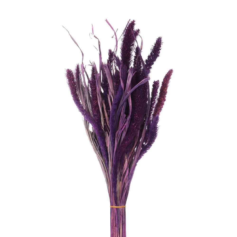 Сухоцветы Ячмень, Могара, тм Колхоз Луч, 70г, в ассортименте, арт.№ 426-010