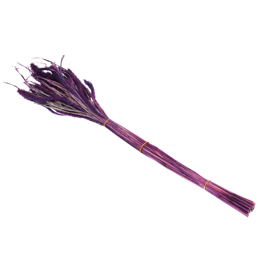 Сухоцветы Ячмень, Могара, тм Колхоз Луч, 70г, в ассортименте, арт.№ 426-010