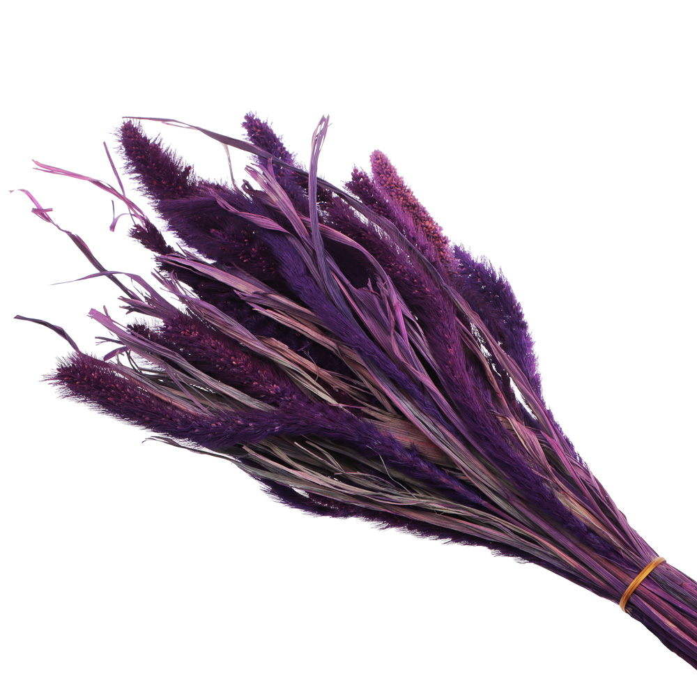 Сухоцветы Ячмень, Могара, тм Колхоз Луч, 70г, в ассортименте, арт.№ 426-010