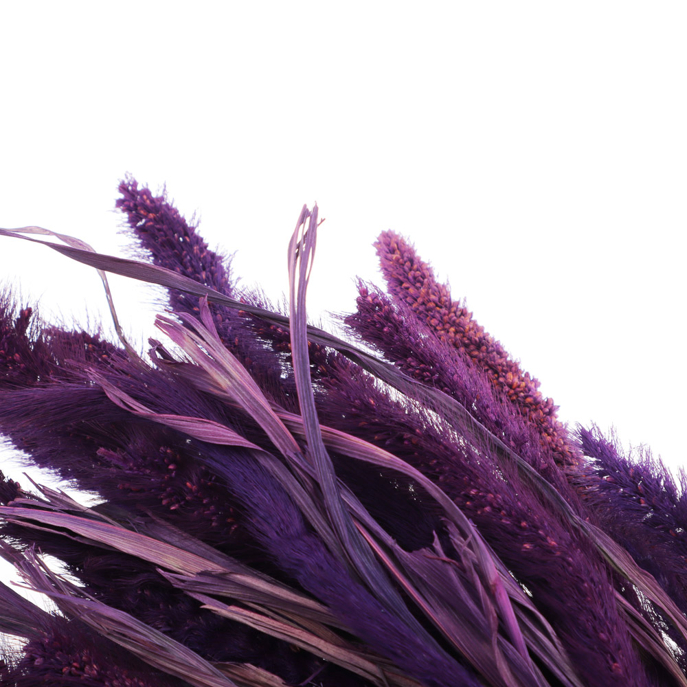 Сухоцветы Ячмень, Могара, тм Колхоз Луч, 70г, в ассортименте, арт.№ 426-010