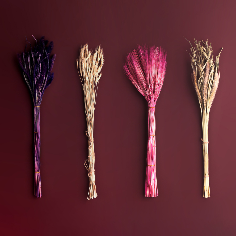 Сухоцветы Ячмень, Могара, тм Колхоз Луч, 70г, в ассортименте, арт.№ 426-010