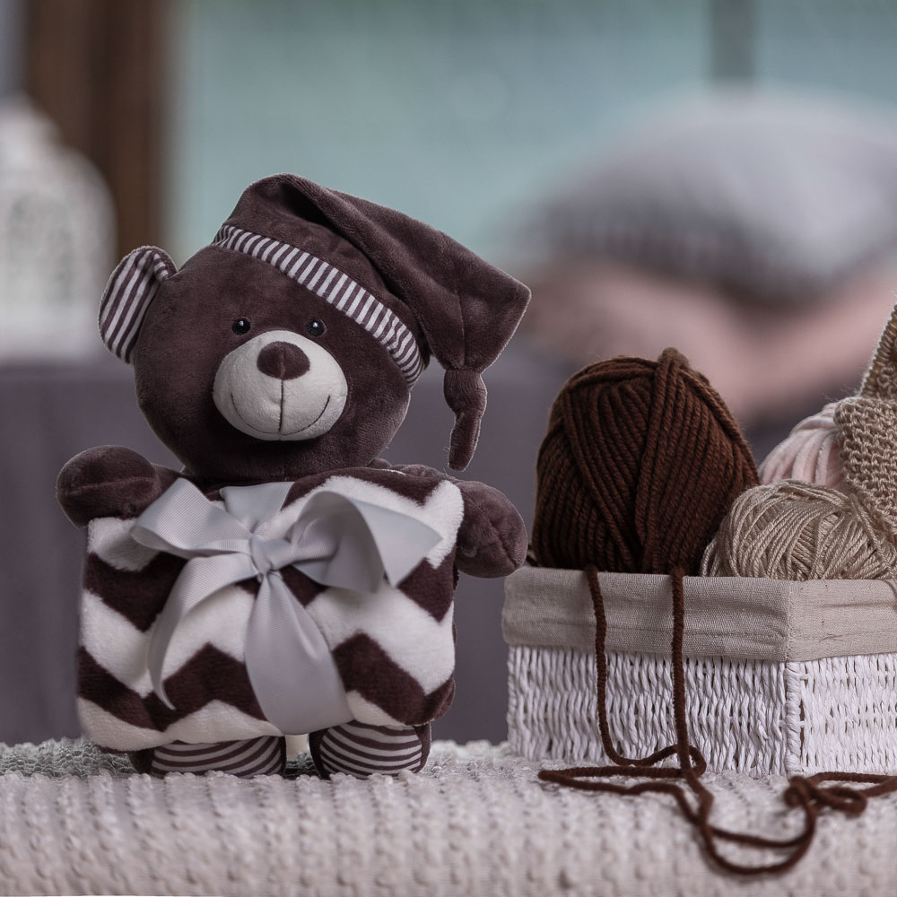 PROVANCE Мятный Латте Плед в комплекте с сувениром 90х75см, 240гр/м, 100% полиэстер, 3 дизайна, арт.№ 488-039