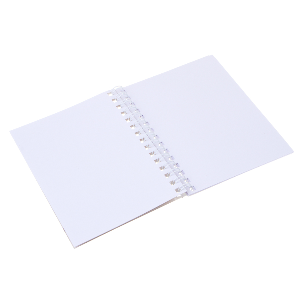 Записная книжка "Капибара" 10х13см, с наклейками, брелоком и лопаткой, PET, бумага, 6 диз., шоу-бокс, арт.№ 557-089