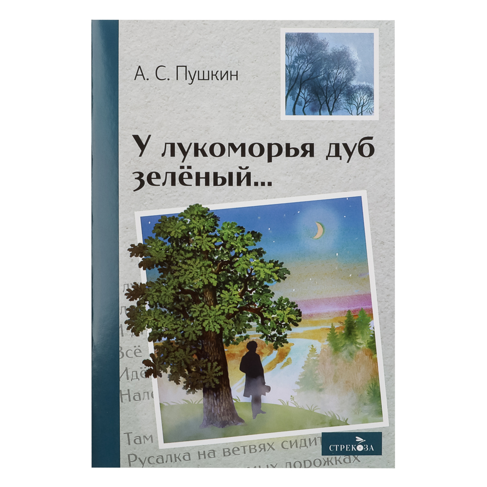 Книжка "Внеклассное чтение", мягкий переплет, 13,8х21см, 60-80 стр., 5 дизайнов, арт.№ 837-214