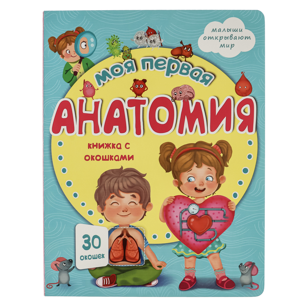 Книжка с окошками, 20х26 см, 10 стр., 4 дизайна, арт.№ 857-176
