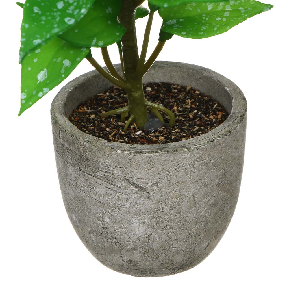 LADECOR Цветок искусственный в кашпо, 6х15 см, целлюлоза, PU, пластик, 2 дизайна, арт.№ 501-576