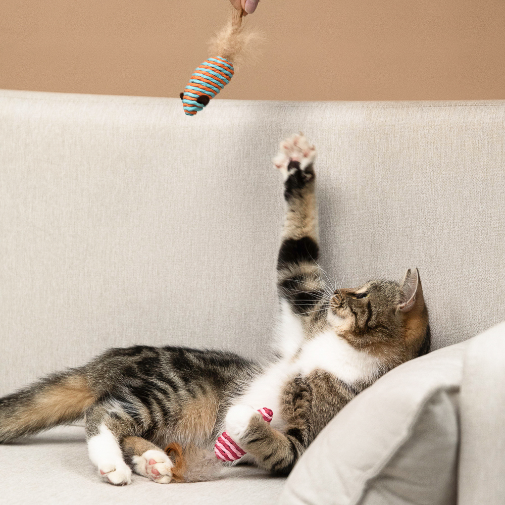 VETTA Игрушка для домашних животных, набор 2 шт, пластмасса, мышки, арт.№ 273-190