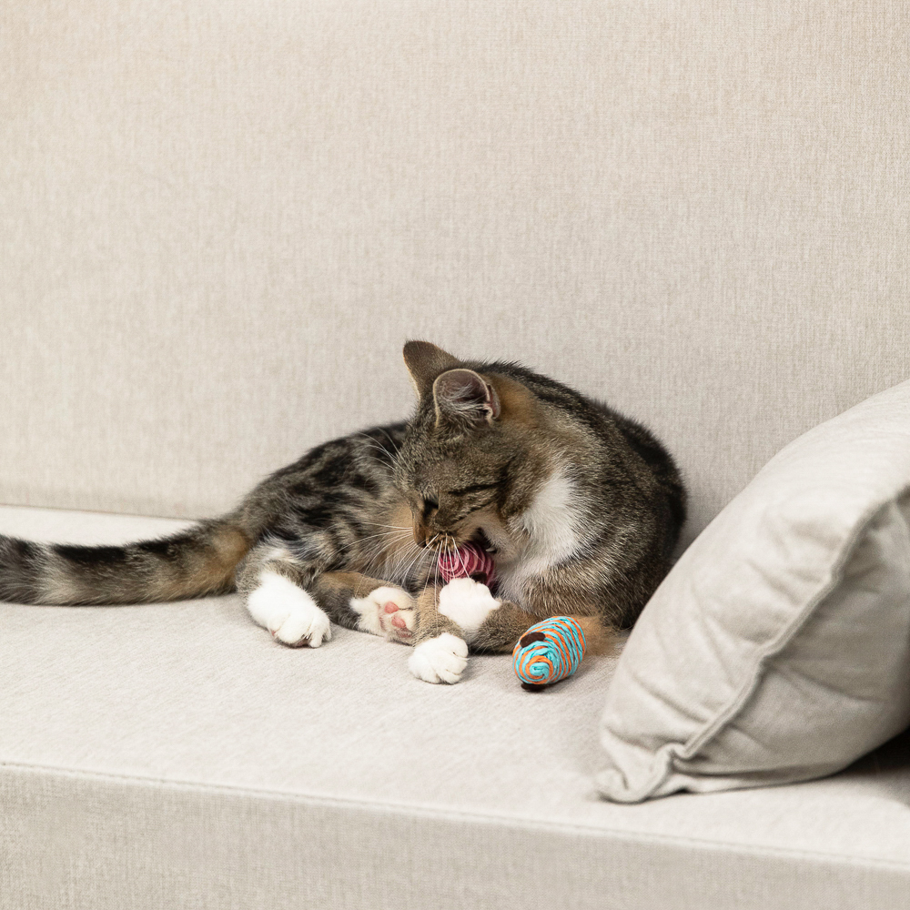 VETTA Игрушка для домашних животных, набор 2 шт, пластмасса, мышки, арт.№ 273-190