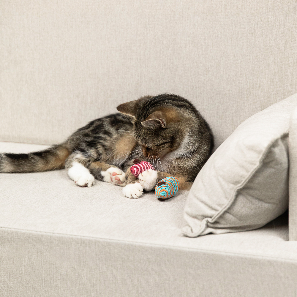 VETTA Игрушка для домашних животных, набор 2 шт, пластмасса, мышки, арт.№ 273-190