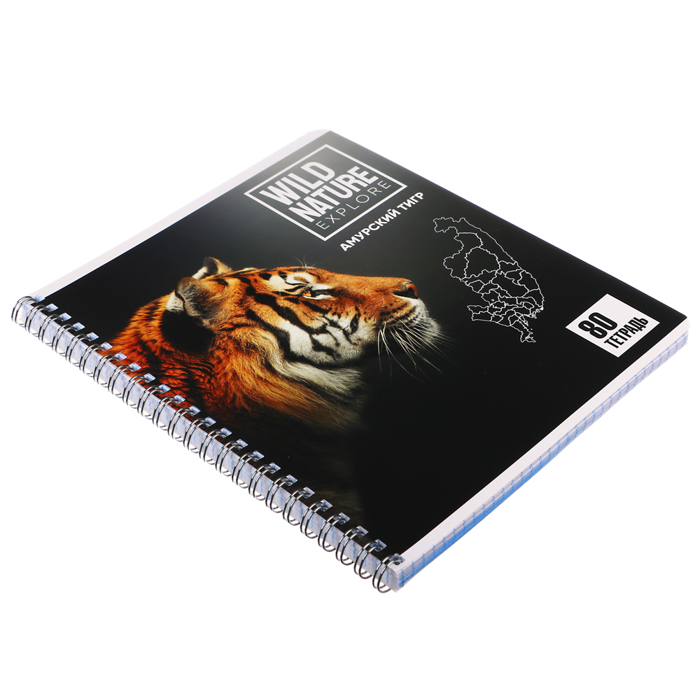 Тетрадь 80л. ClipStudio А5, в клетку, БЕЛЫЕ ЛИСТЫ, обл.картон, на спирали, арт.№ 578-005