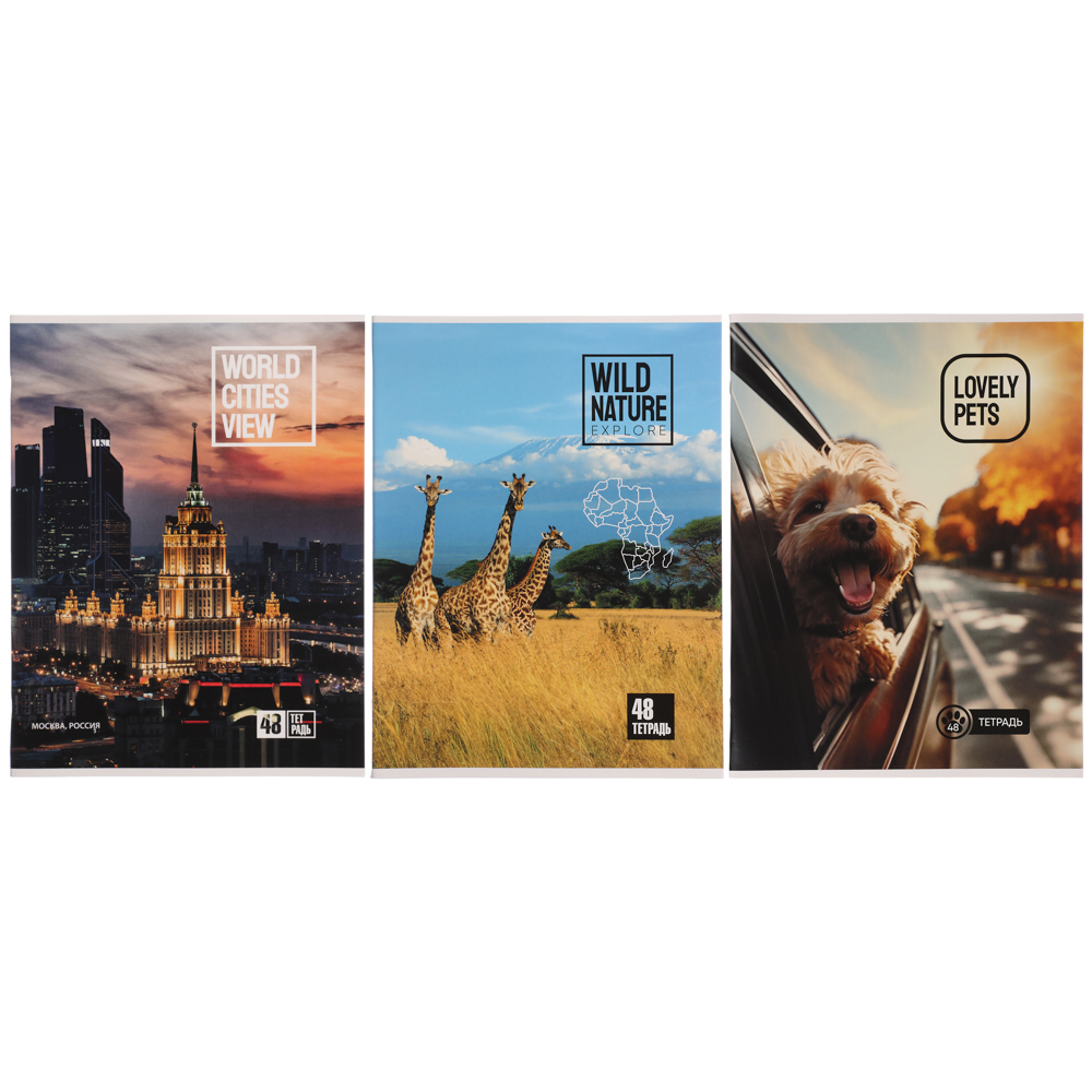 ClipStudio Тетрадь А4 48л. в клетку, БЕЛЫЕ ЛИСТЫ, обложка картон 240г/м2, скрепка, 4 дизайна, арт.№ 578-014