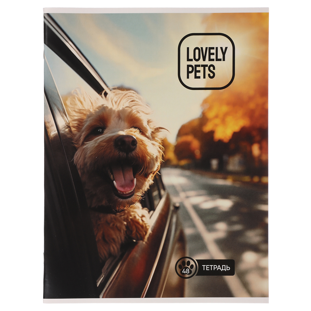 ClipStudio Тетрадь А4 48л. в клетку, БЕЛЫЕ ЛИСТЫ, обложка картон 240г/м2, скрепка, 4 дизайна, арт.№ 578-014