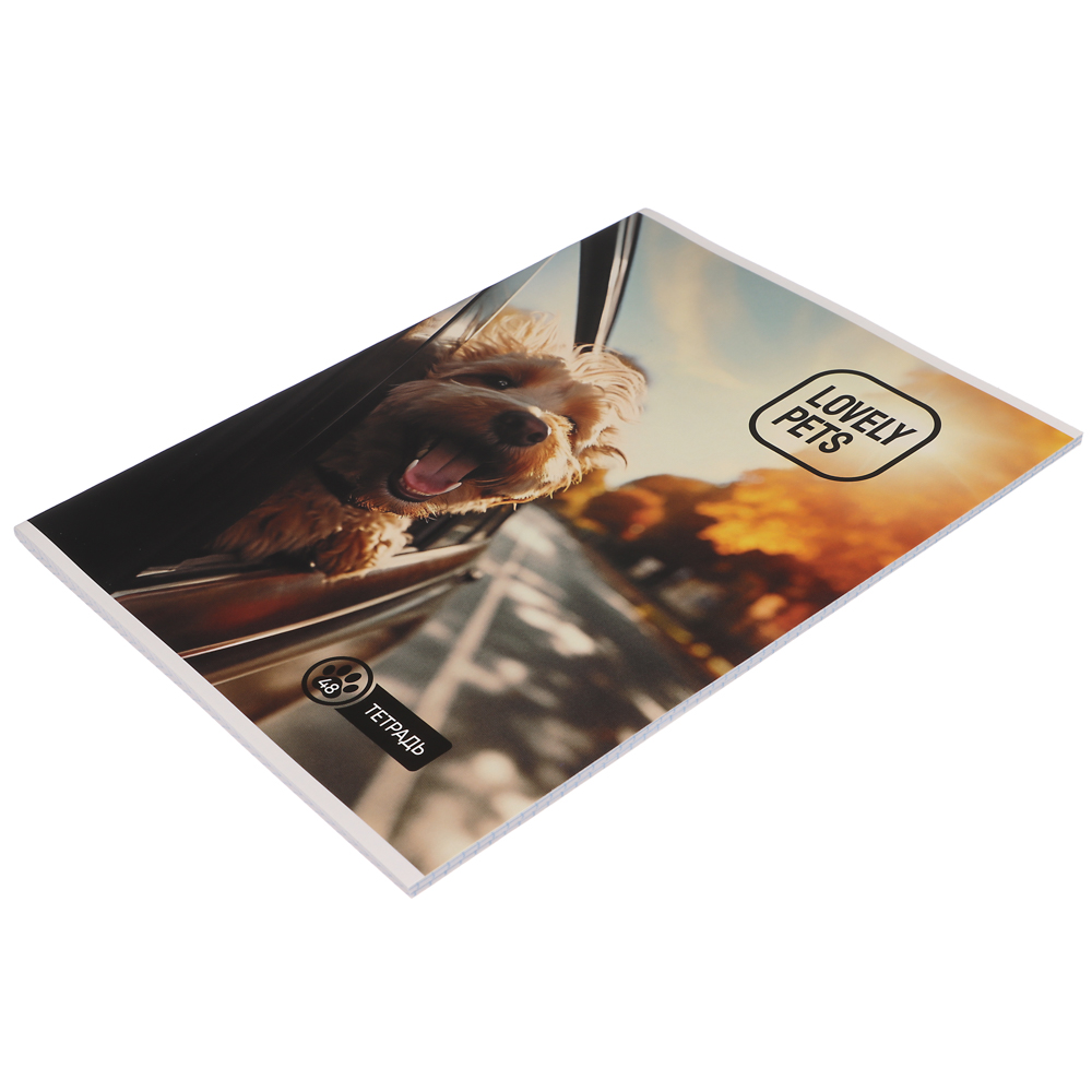 ClipStudio Тетрадь А4 48л. в клетку, БЕЛЫЕ ЛИСТЫ, обложка картон 240г/м2, скрепка, 4 дизайна, арт.№ 578-014