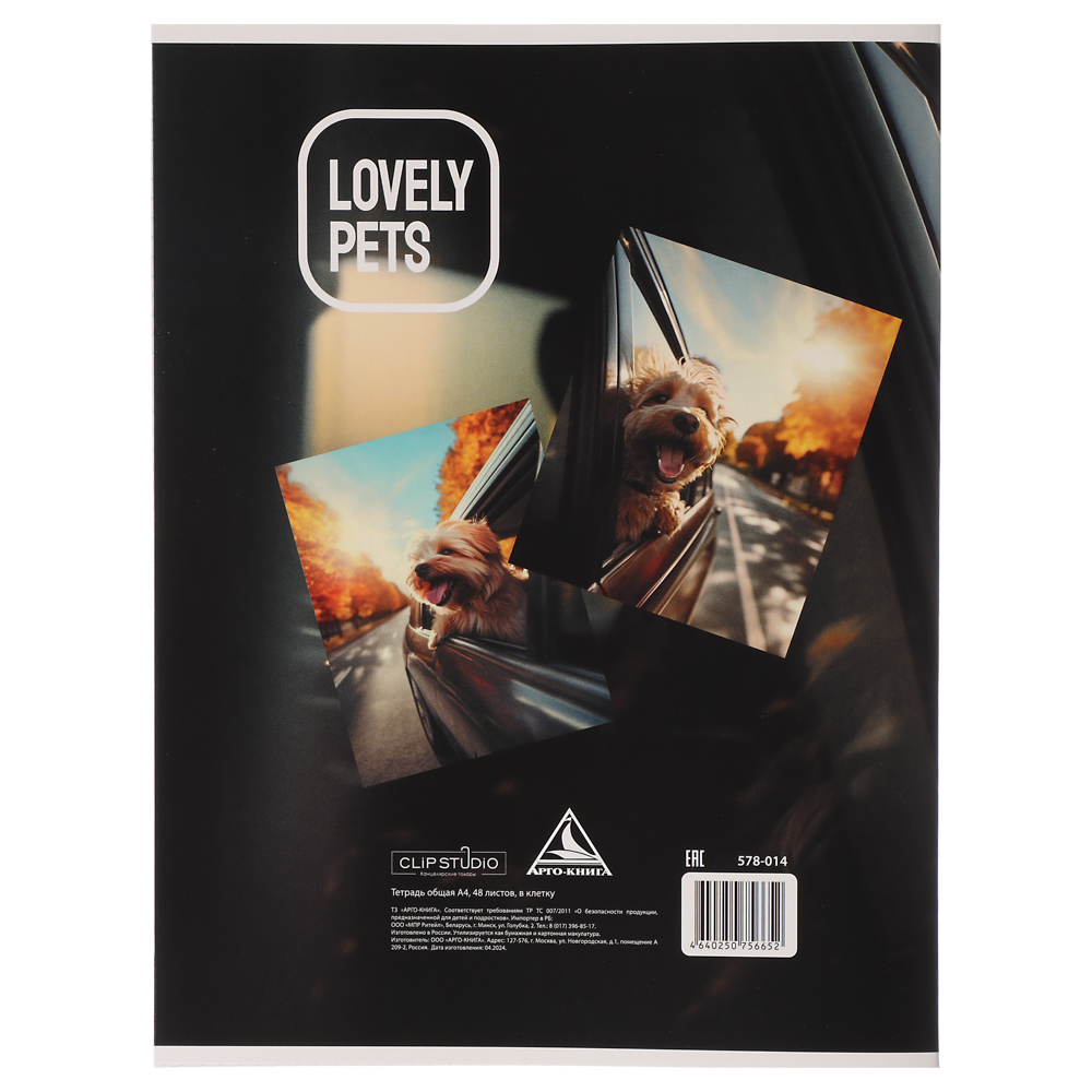 ClipStudio Тетрадь А4 48л. в клетку, БЕЛЫЕ ЛИСТЫ, обложка картон 240г/м2, скрепка, 4 дизайна, арт.№ 578-014