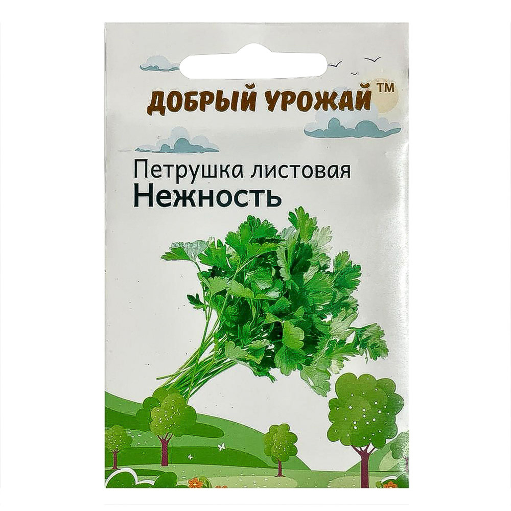 Набор семян "Зелень" в шоубоксе 40 шт, набор 4 вида, арт.№ 179-307