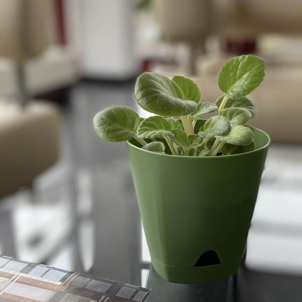 Горшок для цветов InGreen Amsterdam D110мм 0,65л с прикорневым поливом микс, арт.№ 164-329