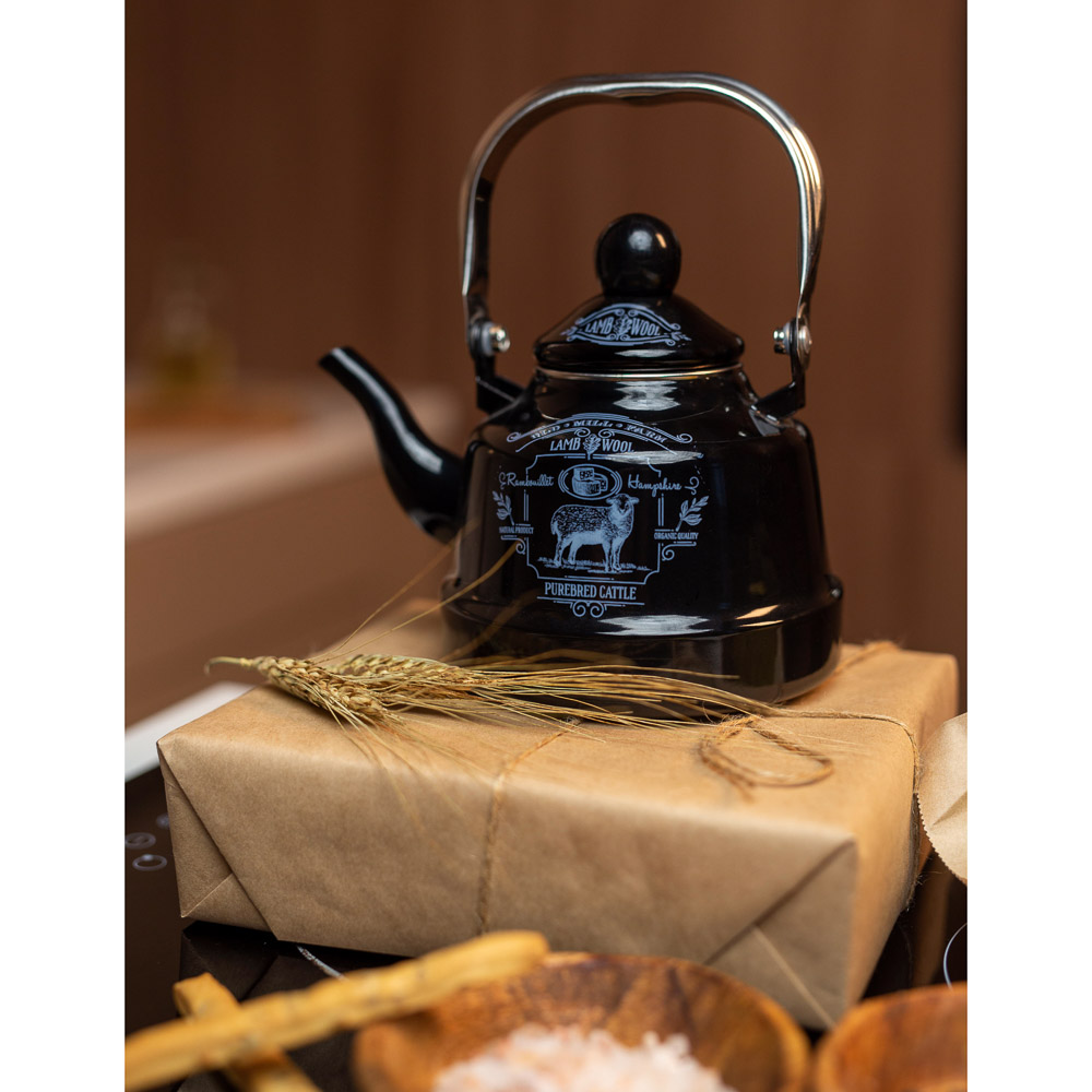 VETTA Ранчо Чайник эмалированный 1,1 л, 3 дизайна, индукция, арт.№ 894-484