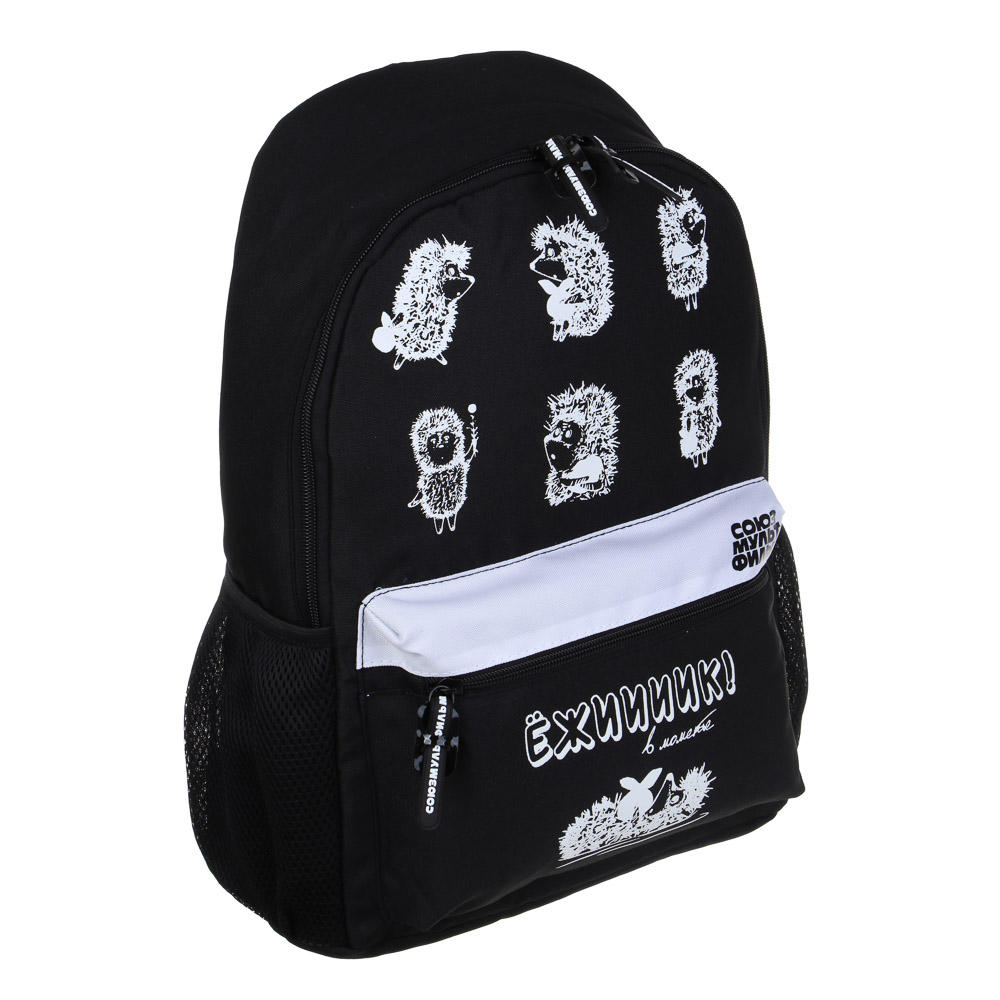 Ежик в Тумане Рюкзак подростковый 40х30х15 см, 1 отд., 4 кармана (1 на спинке), уплотнен.лямки, полиэстер, арт.№ 805-033